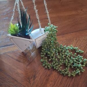 Hanging Succulent Planter with Greenery